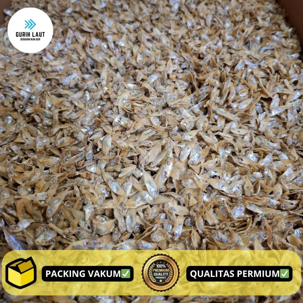 

IKAN ASIN MARESI/TAPIS/SEMADAR KUALITAS SUPER