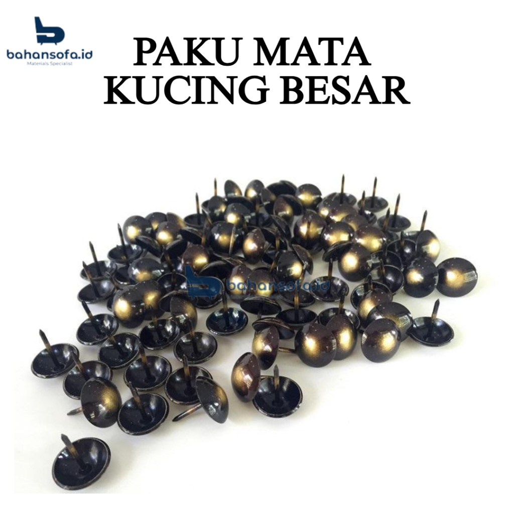 PAKU MATA KUCING BESAR / PAKU MATA KUCING / PAKU PINES / PAKU HIAS SOFA / MATA KUCING BESAR/ PAKU PA