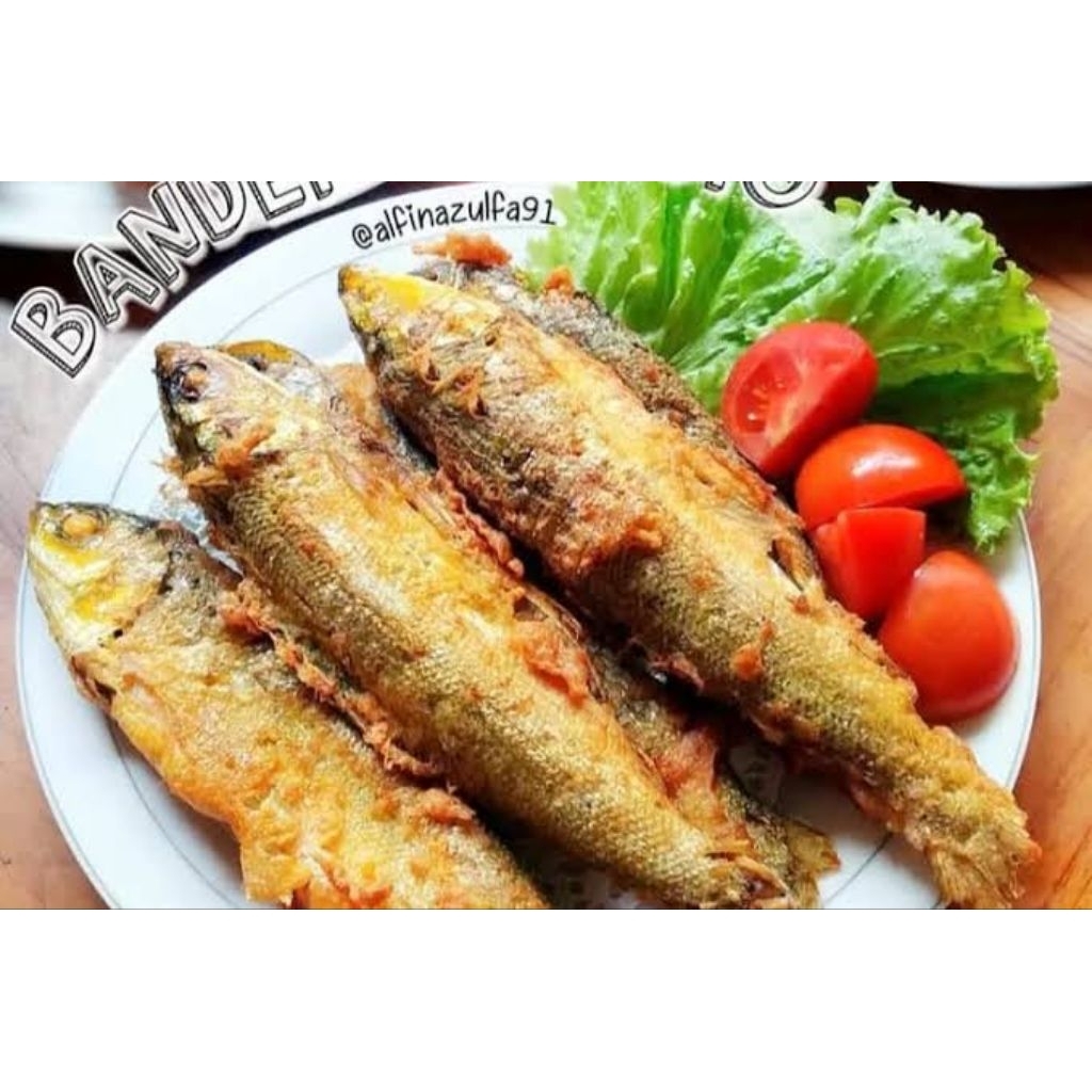 

Pindang Bandeng Presto Enak Gurih Nikmat Lezat Segar