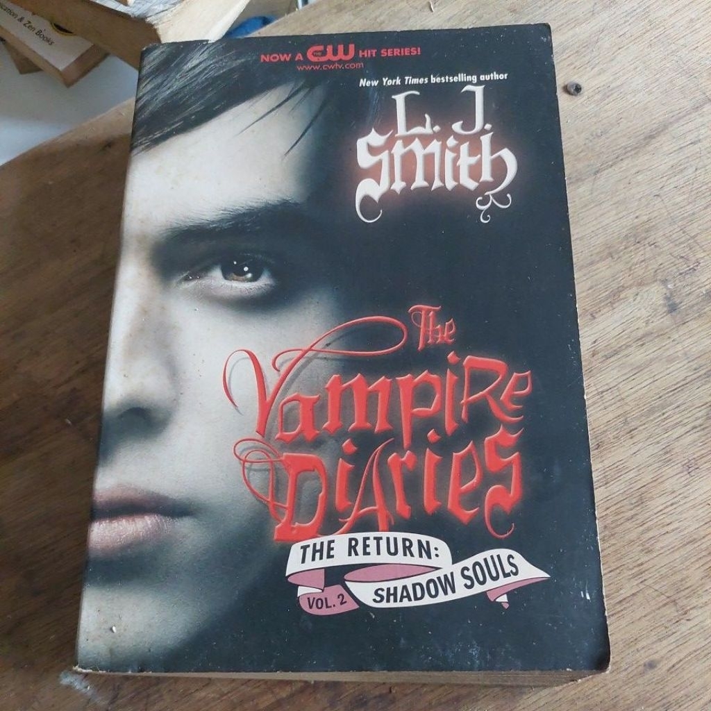 NOVEL THE VAMPIRE DI ARIES