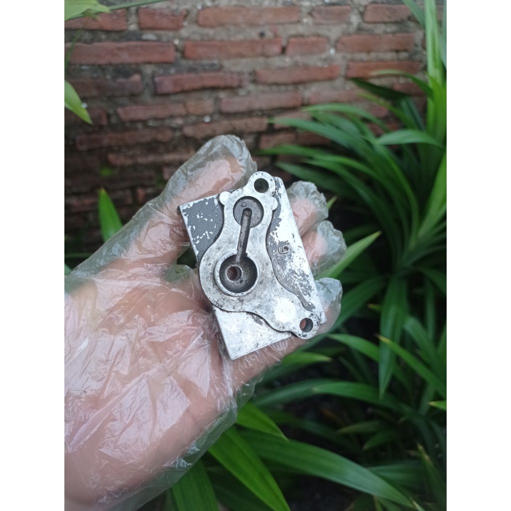 heam kupu kupu kop Astrea grand ori