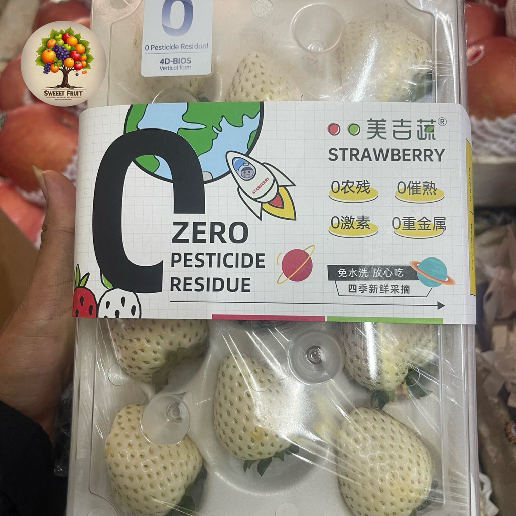 

Strawberry White Import | Strawberry putih Fresh | Pack