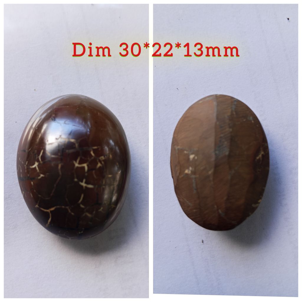 Sisik Naga Enrekang Makasar