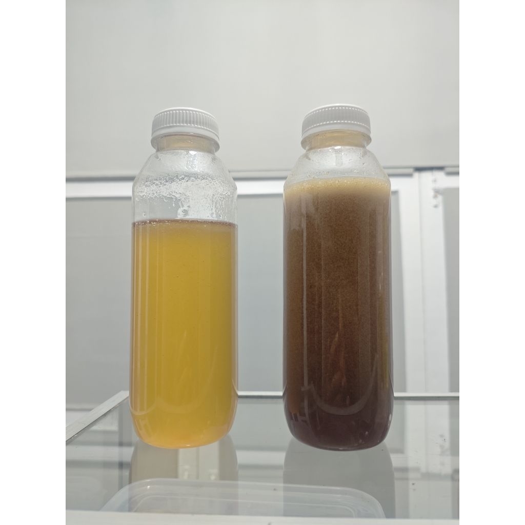 

MADU HUTAN LIAR ASLI MURNI 100% / SIALANG / ODENG / DORSATA ASLI BUKAN TERNAK