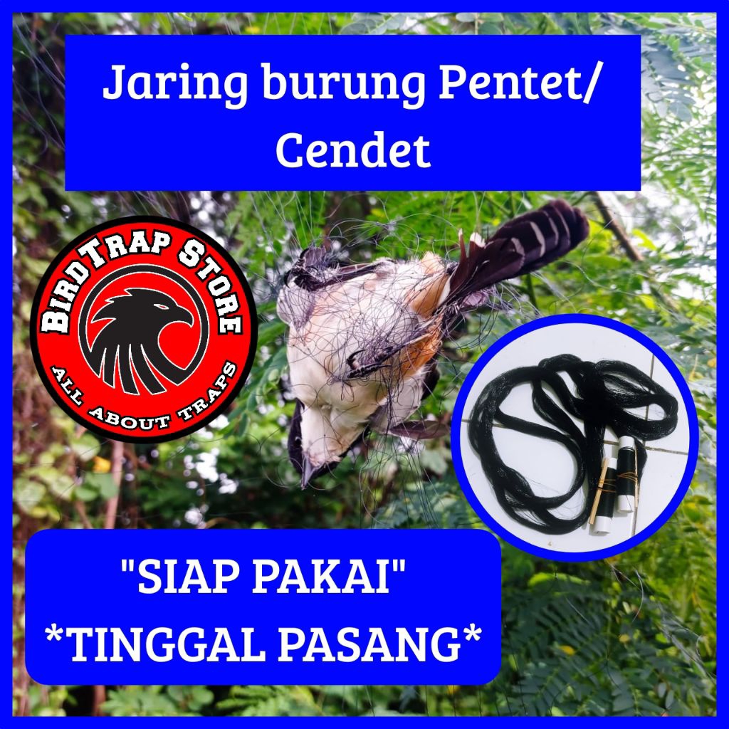 Jaring burung pentet siap pakai panjang 5 meter, jebakan burung pentet cendet, perangkap burung pent
