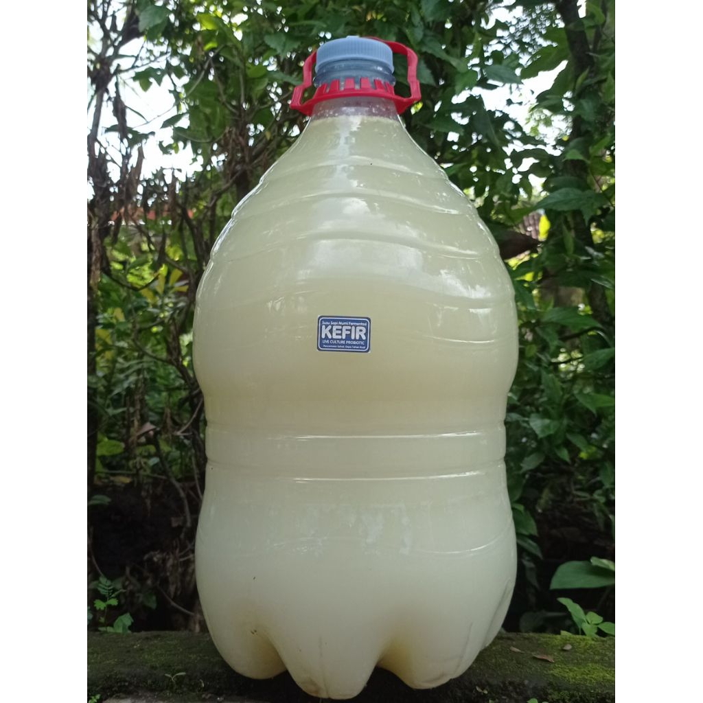 

Kefir Whey Murni 15 Liter