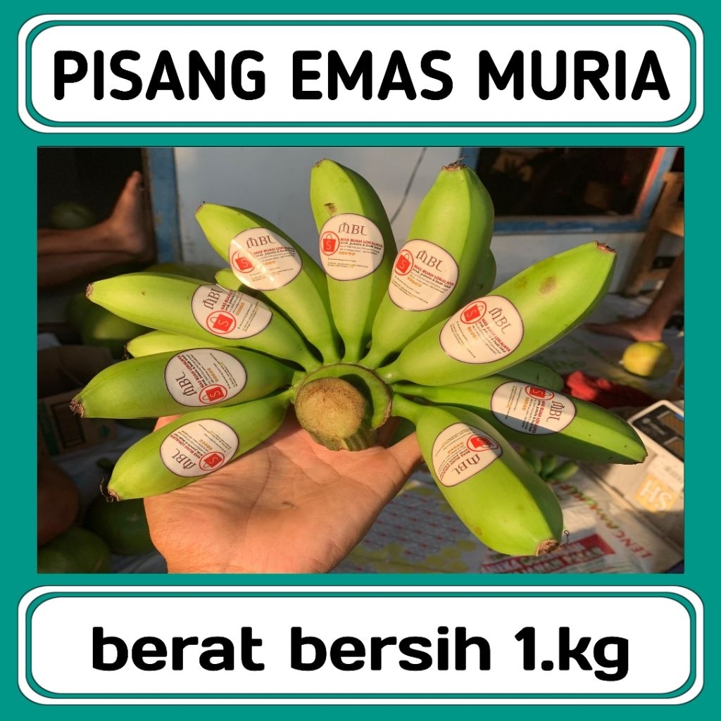 

PISANG EMAS MURIA 1.kg