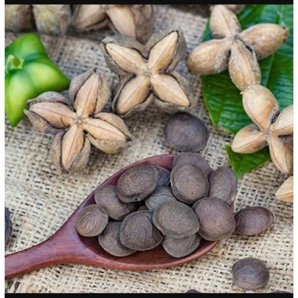 80 BENIH BIJI SACHA INCHI SUPER