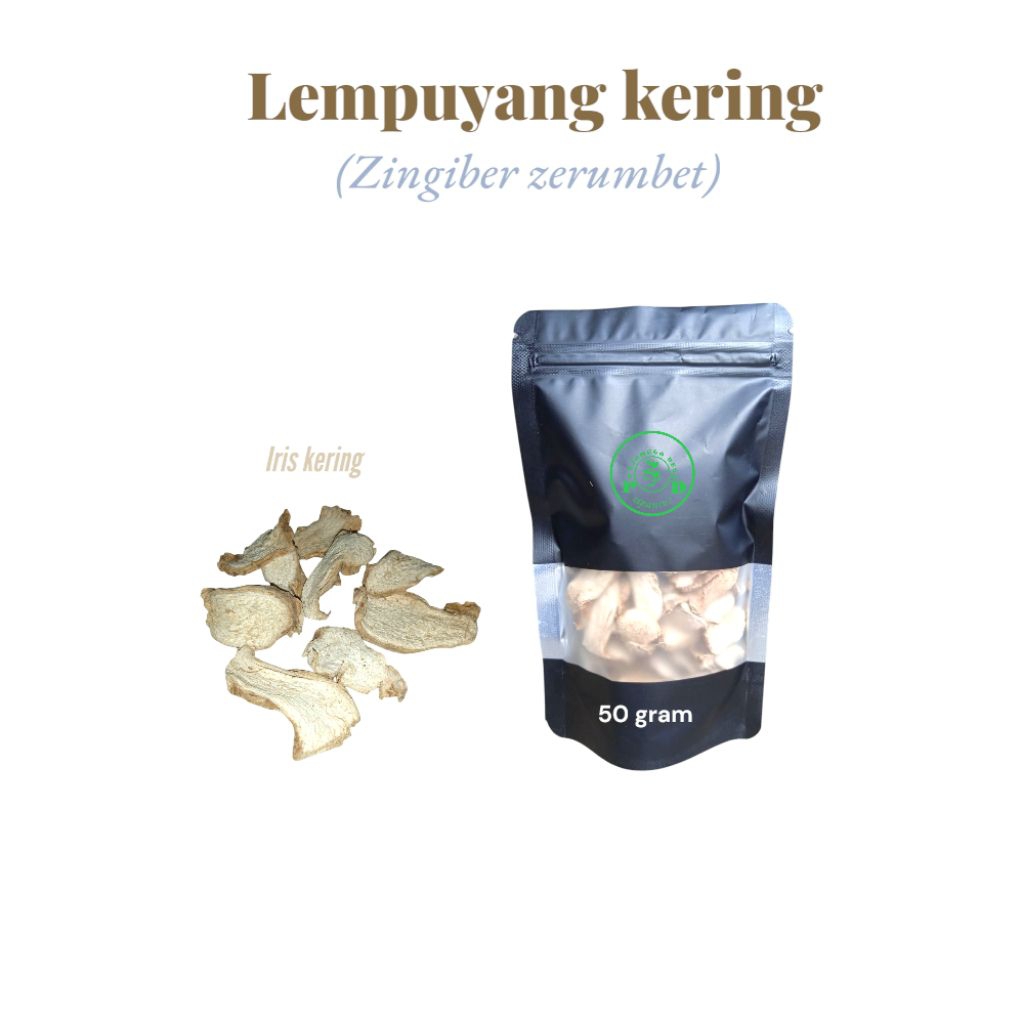 

Lempuyang kering berkualitas 50 gram untuk jamu kesehatan