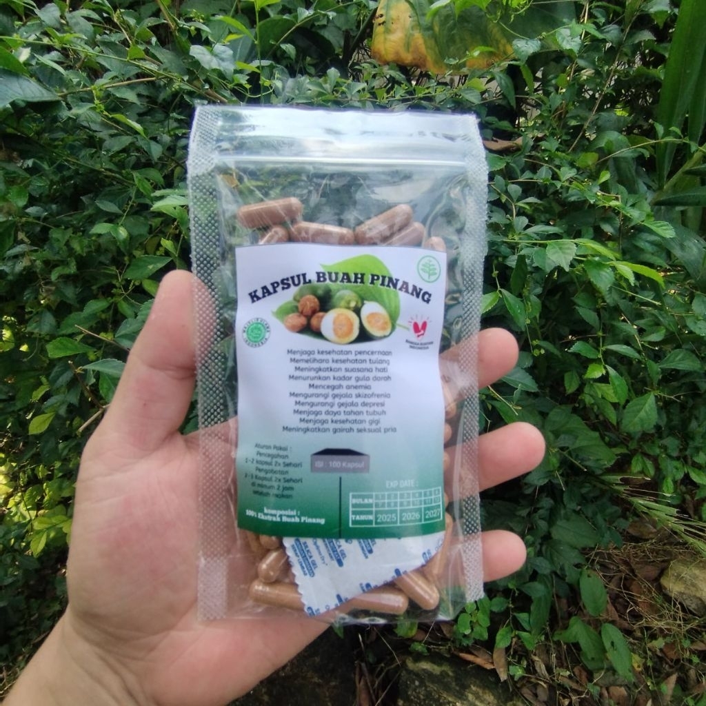 

Buah Pinang Muda / Jambe Kapsul Herbal Tradisional Kemasan Hemat isi 100 kapsul