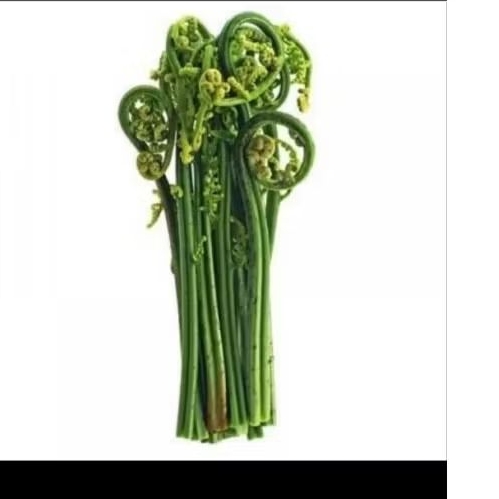 

Pakis 1 Ikat Baru Segar