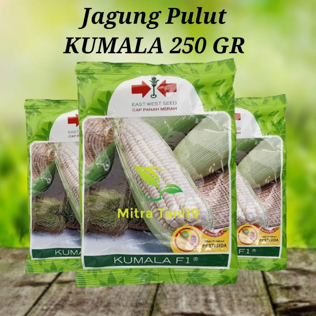CAP PANAH MERAH BENIH BIBIT JAGUNG PULUT / KETAN PUTIH KUMALA 250 GRAM