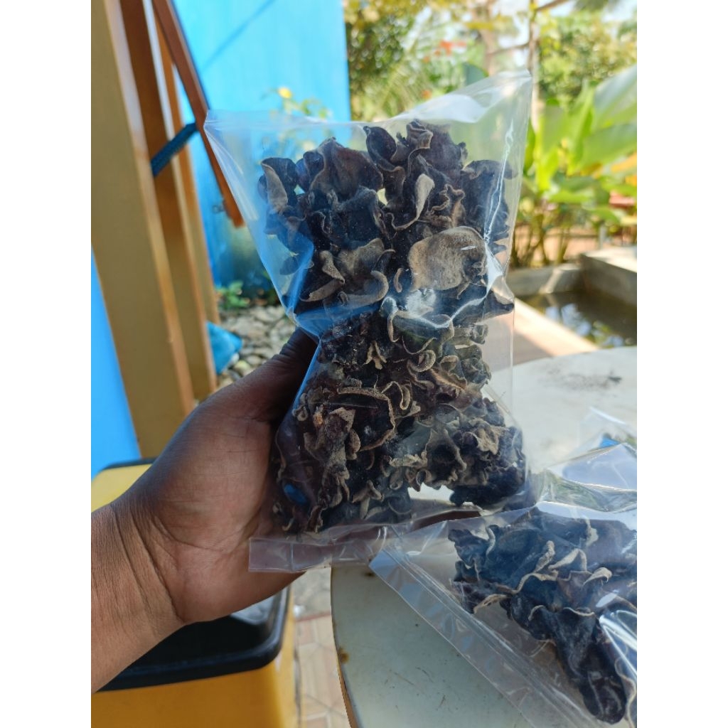

jamur kuping kering berat 1kg kualitas grade A
