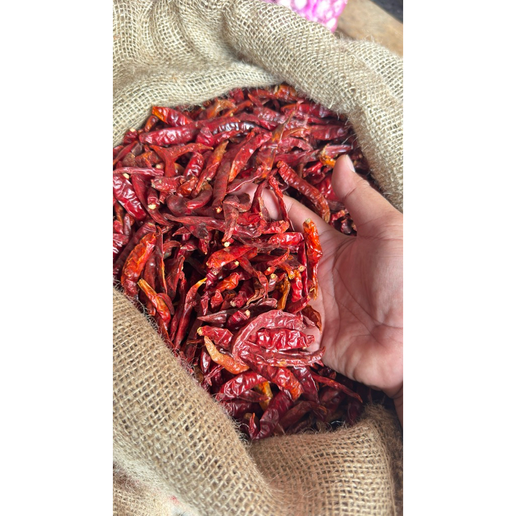 

CABE TEJA KEMASAN KARUNG 10KG