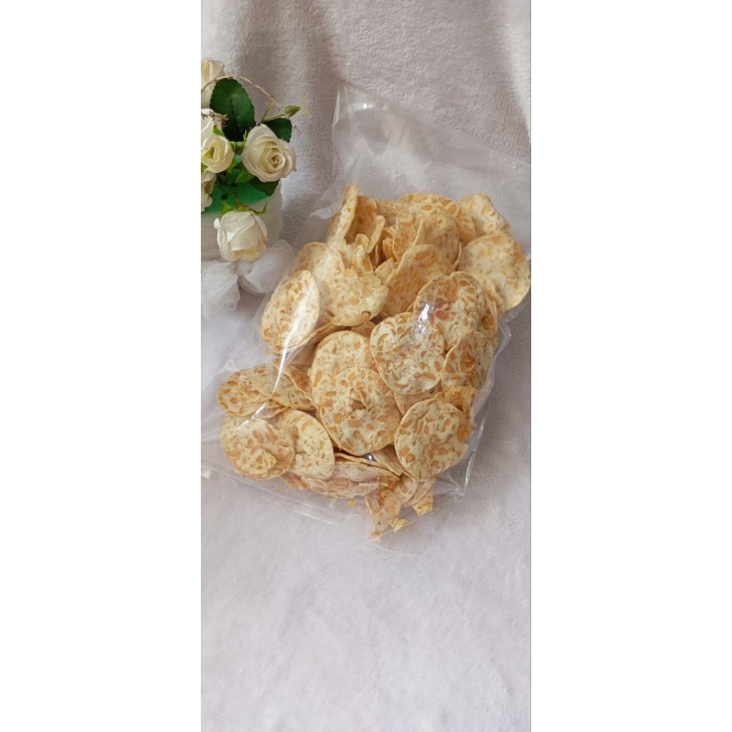 

keripik tempe sagu