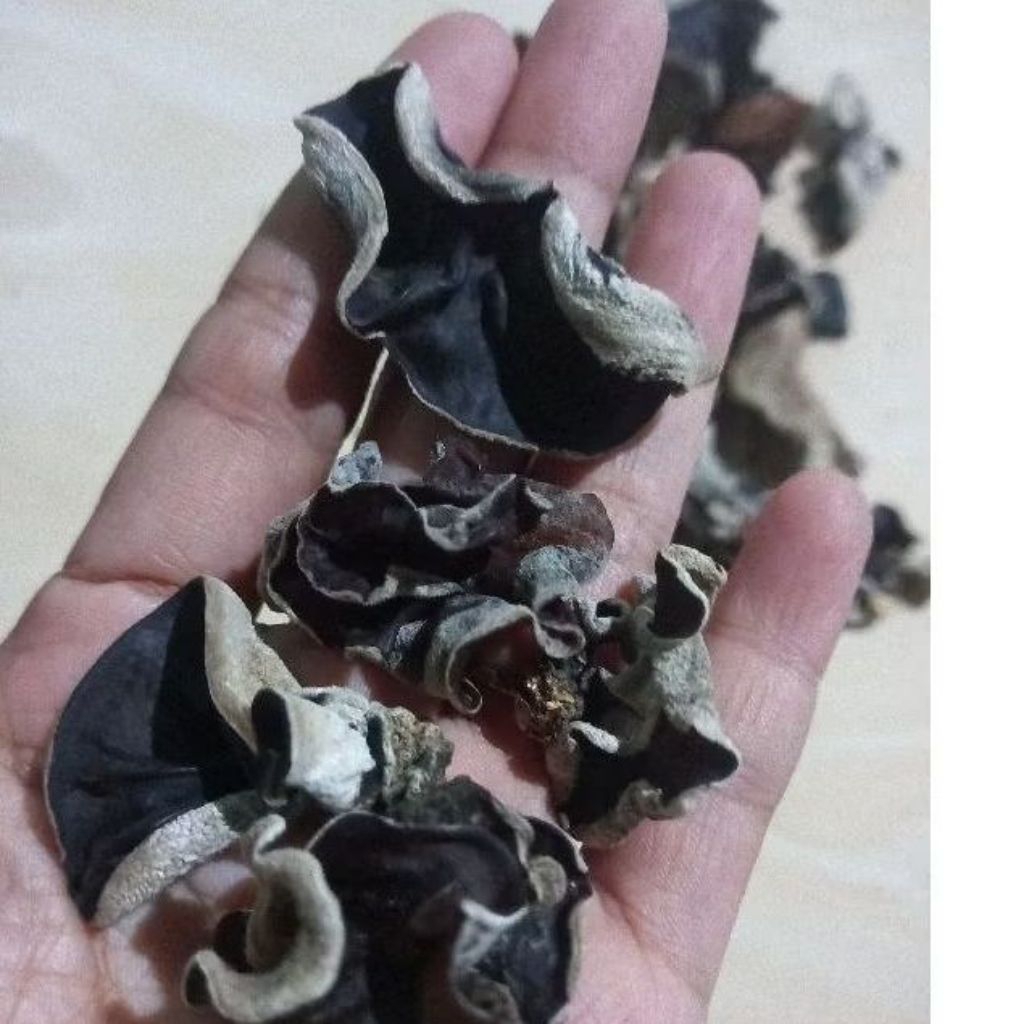 

jamur kuping hitam kering kemasan 100g kualitas premium