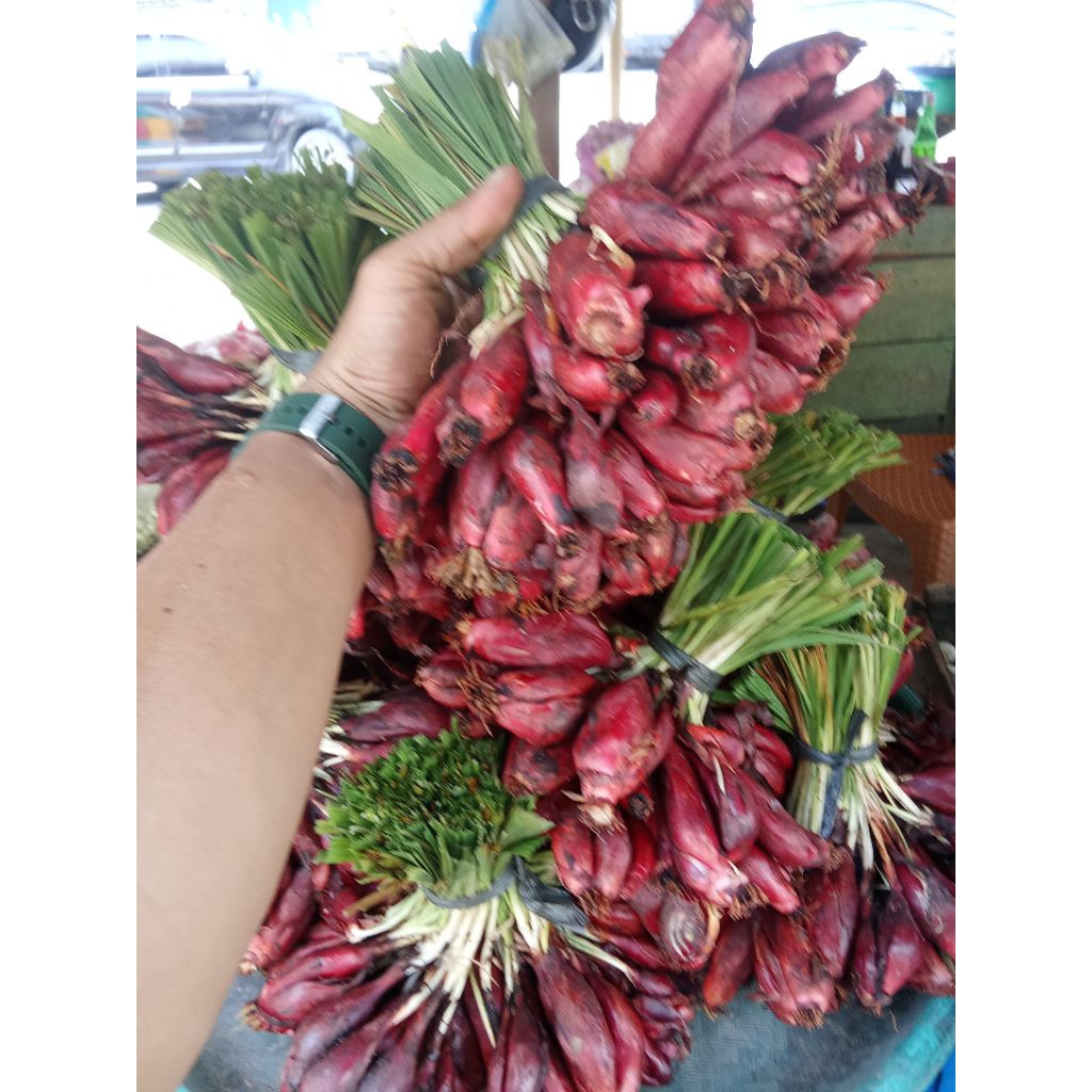 

BAWANG DAYAK SEGER CANTIK FREES BARU MURAH