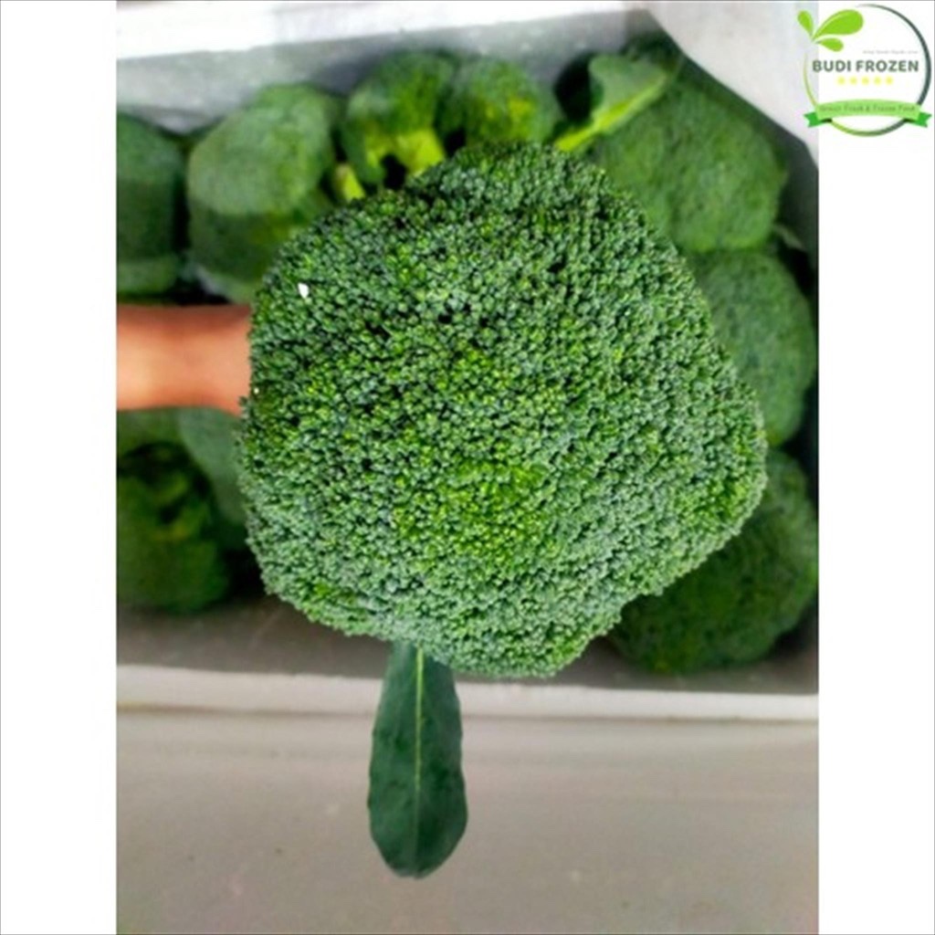 

BROKOLI FRESH / SEGAR / IMPOR - DITIMBANG