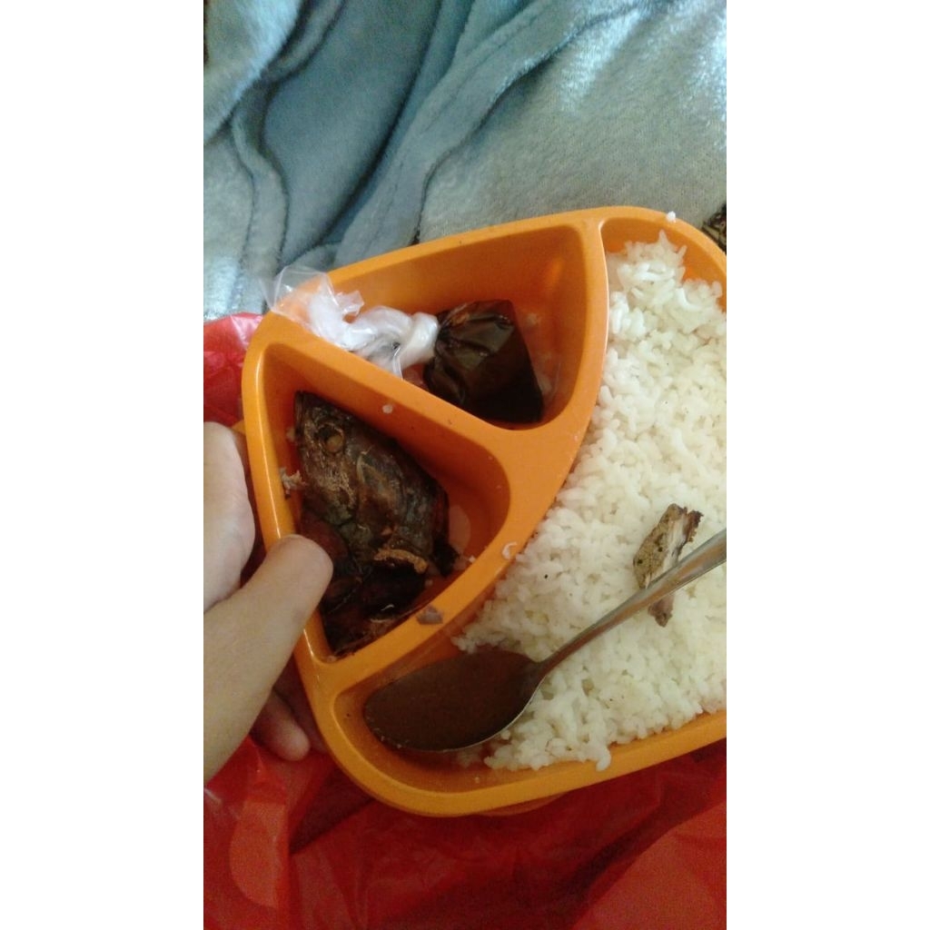 

kotak makan