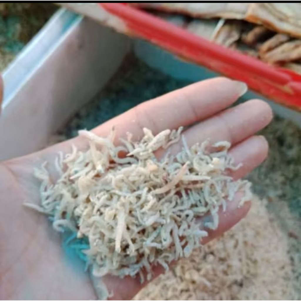 

Ikan teri medan lokal kecil/ ikan terimi putih kecil 500gram