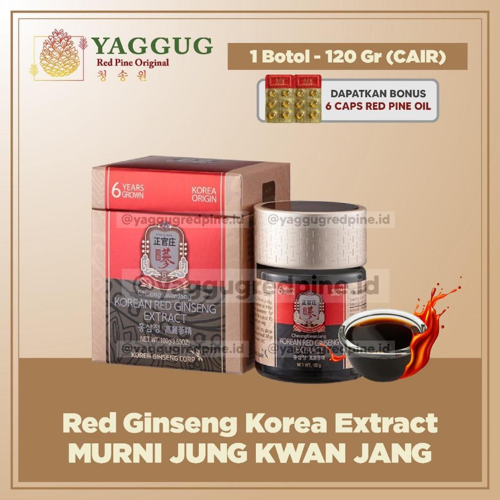 

Red Ginseng Korea Extract Murni Jung Kwan Jang Cair 120 Gram