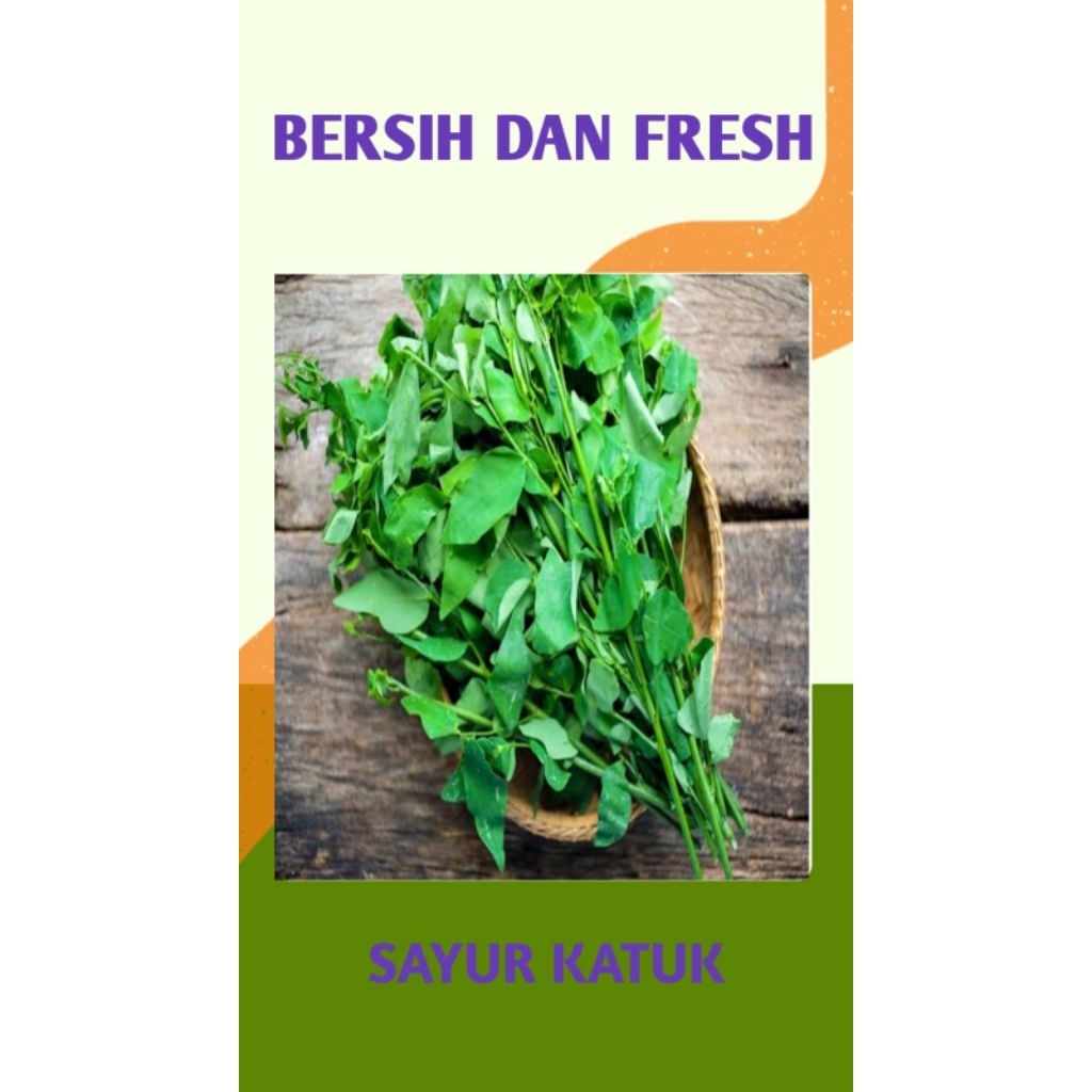

SAYUR KATUK / KATU SEGAR - PALEMBANG