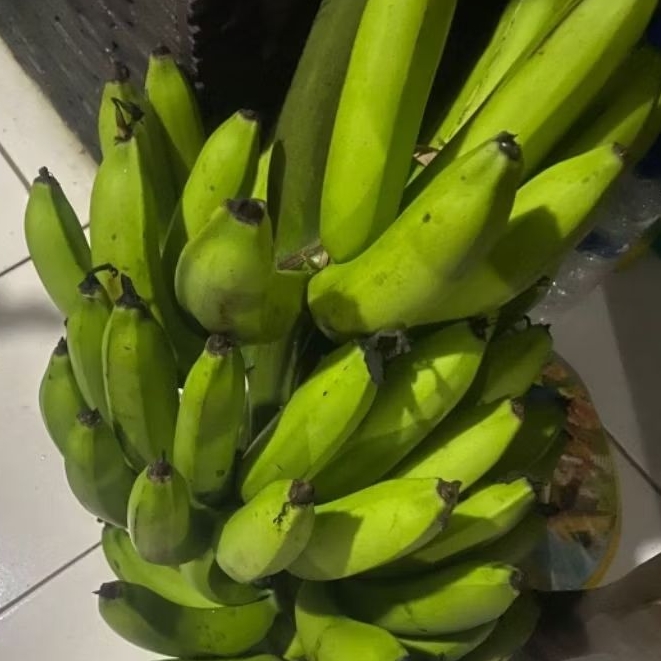

Buah Pisang Mentah A A Pisang Bangkaulu