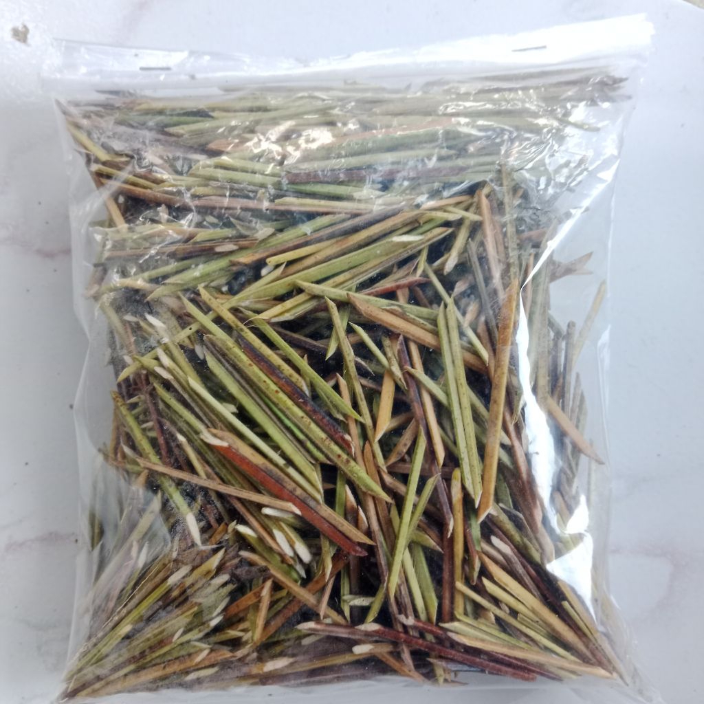 

biting/githing tulang daun kelapa/pengunci makanan tradisional daun pisang 100gram