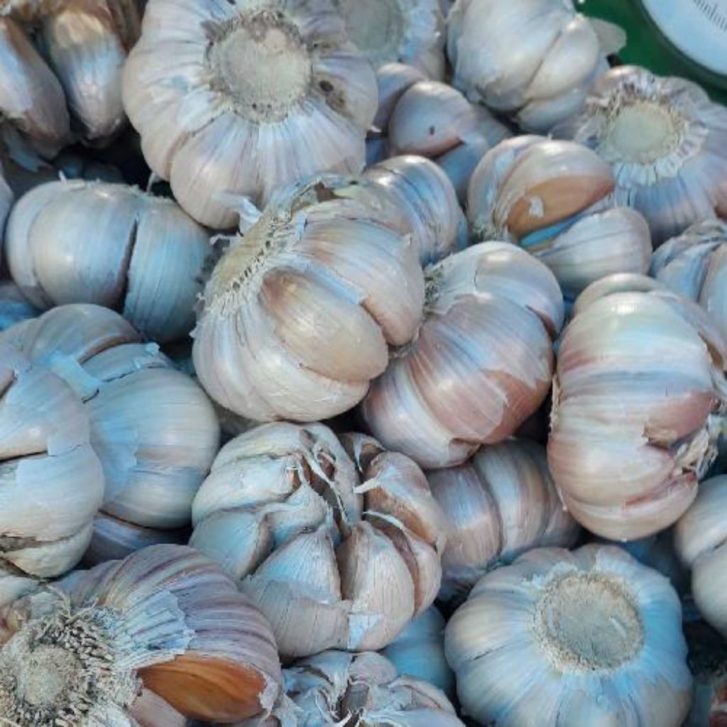 

Bawang Putih Super 1Kg