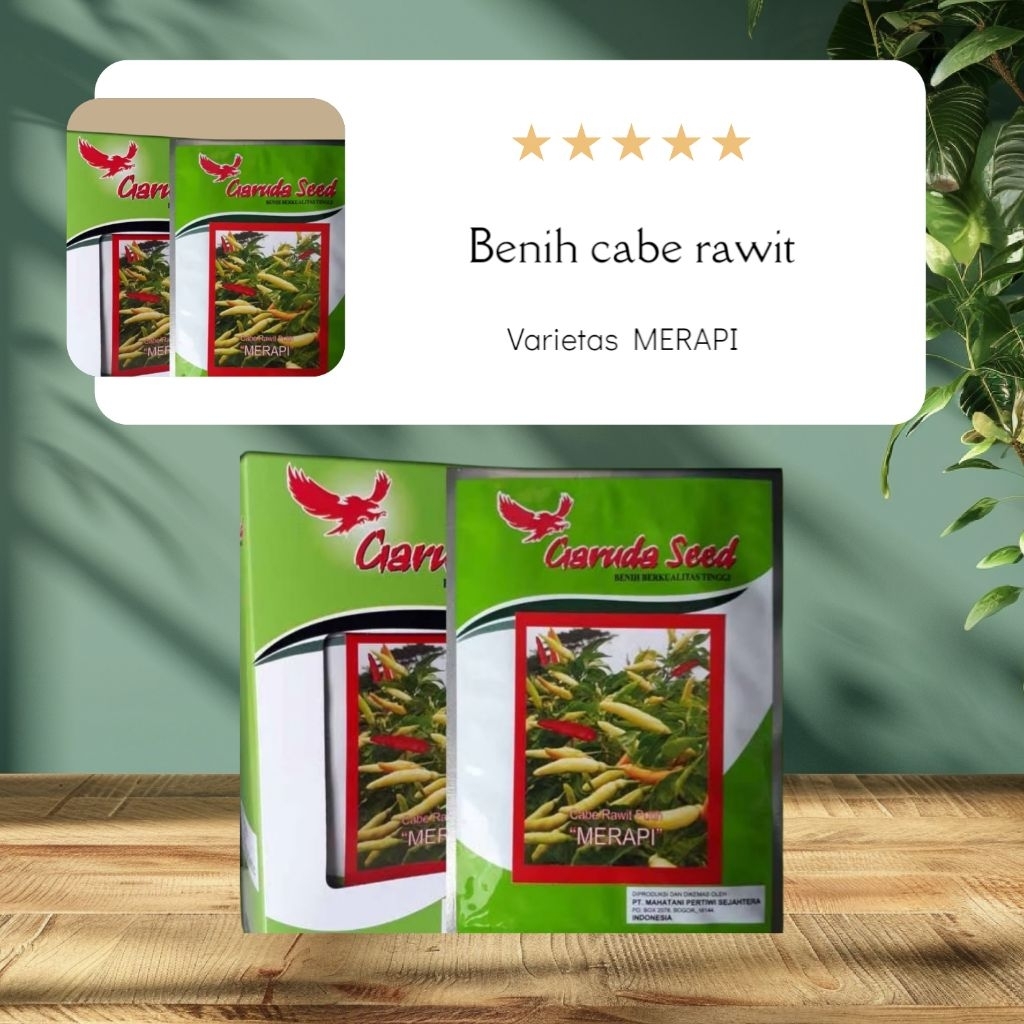 

BENIH CABE RAWIT UNGGUL PUTIH "MERAPI" [10 gr]