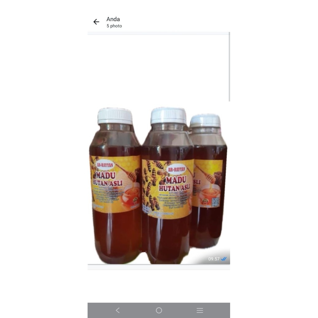 

madu hutan asli untuk kesehatan