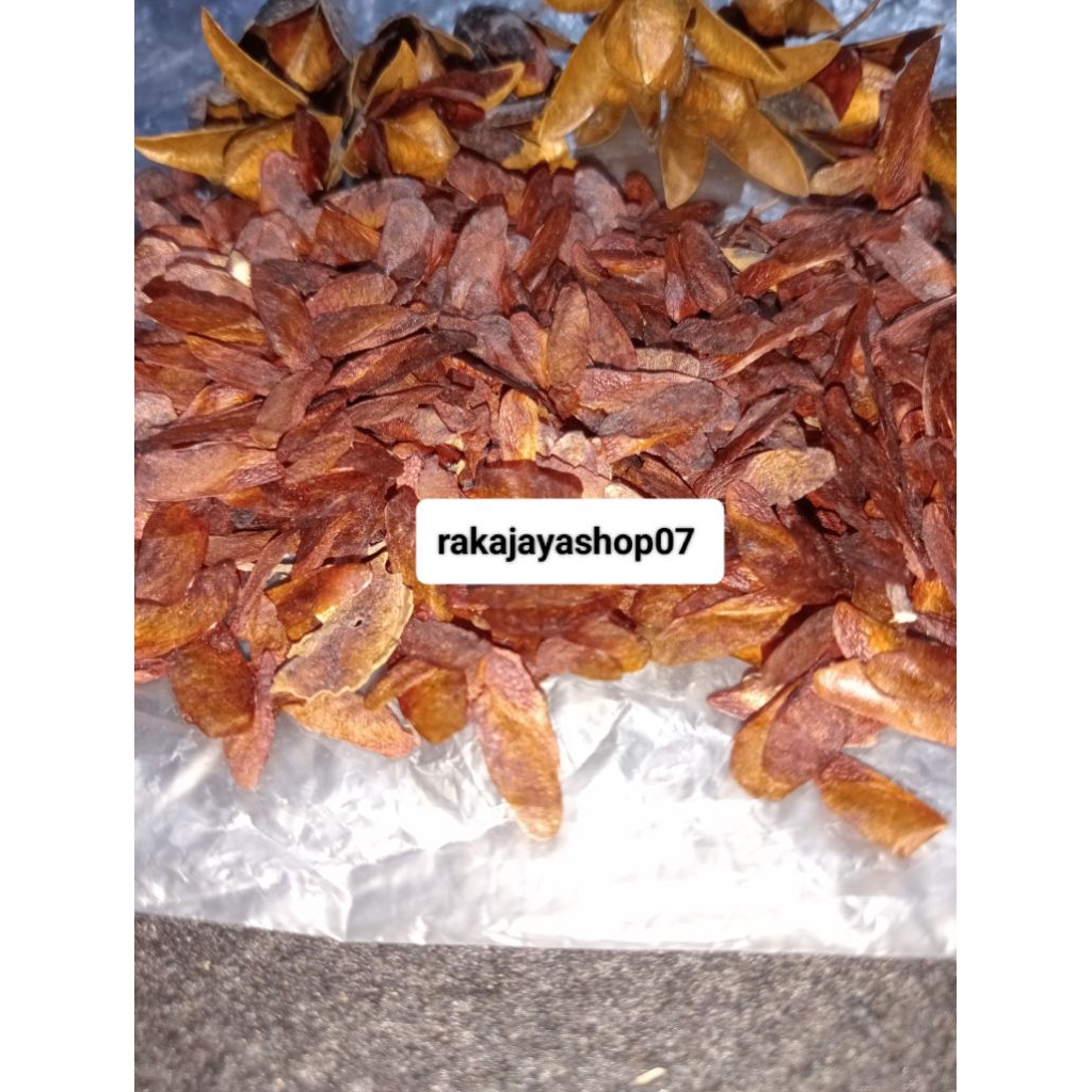 Benih biji kayu suren per 100 biji