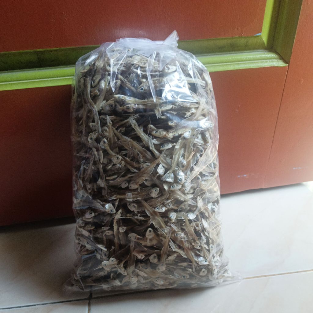 

ikan asin