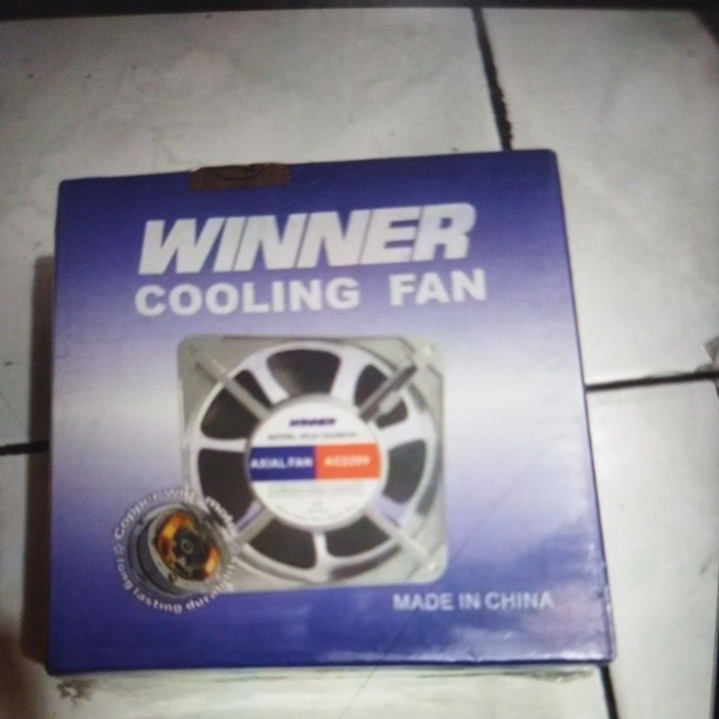 Fan AC Winner 220V 12x12
