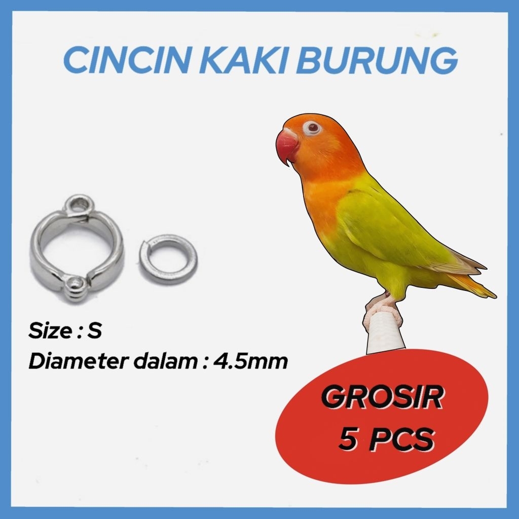 5 PCS RING BORGOL KAKI BURUNG LOVEBIRD (LB) & NURI PERKICI