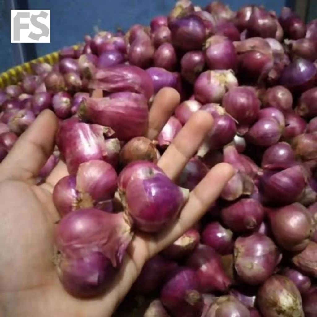 

1 kg bawang merah super / bumbu dapur / rempah / herbal