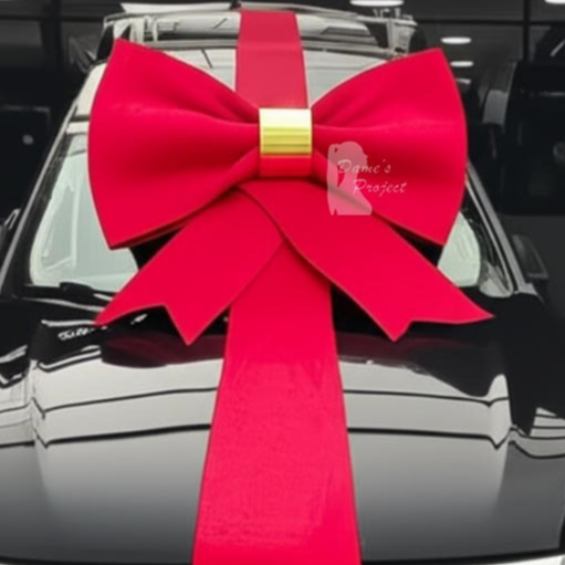 

Pita Jumbo Dame's Project Raksasa Untuk Kado Besar atau Hadiah Mobil Mewah Baru & Dekorasi Event