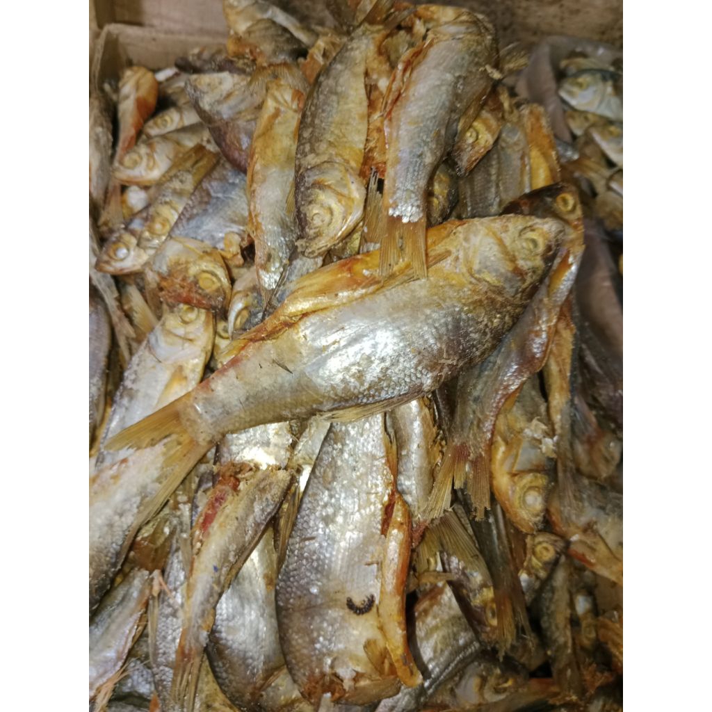 

ikanasin polok BANDENG asin