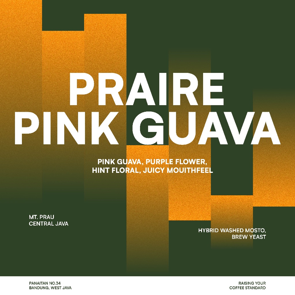 

JACK RUNNERS ROASTERY - PRAIRIE PINK GUAVA - ROASTED COFFEE BEANS