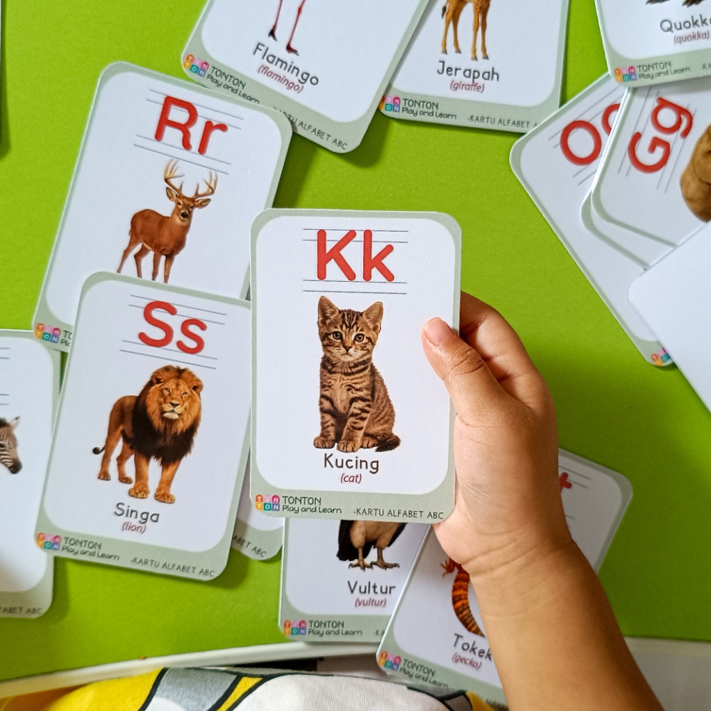 TONTON Flashcard Kartu Alfabet Hewan / Flash card Warna dan Bentuk / Flash card sayur dan buah / Fla