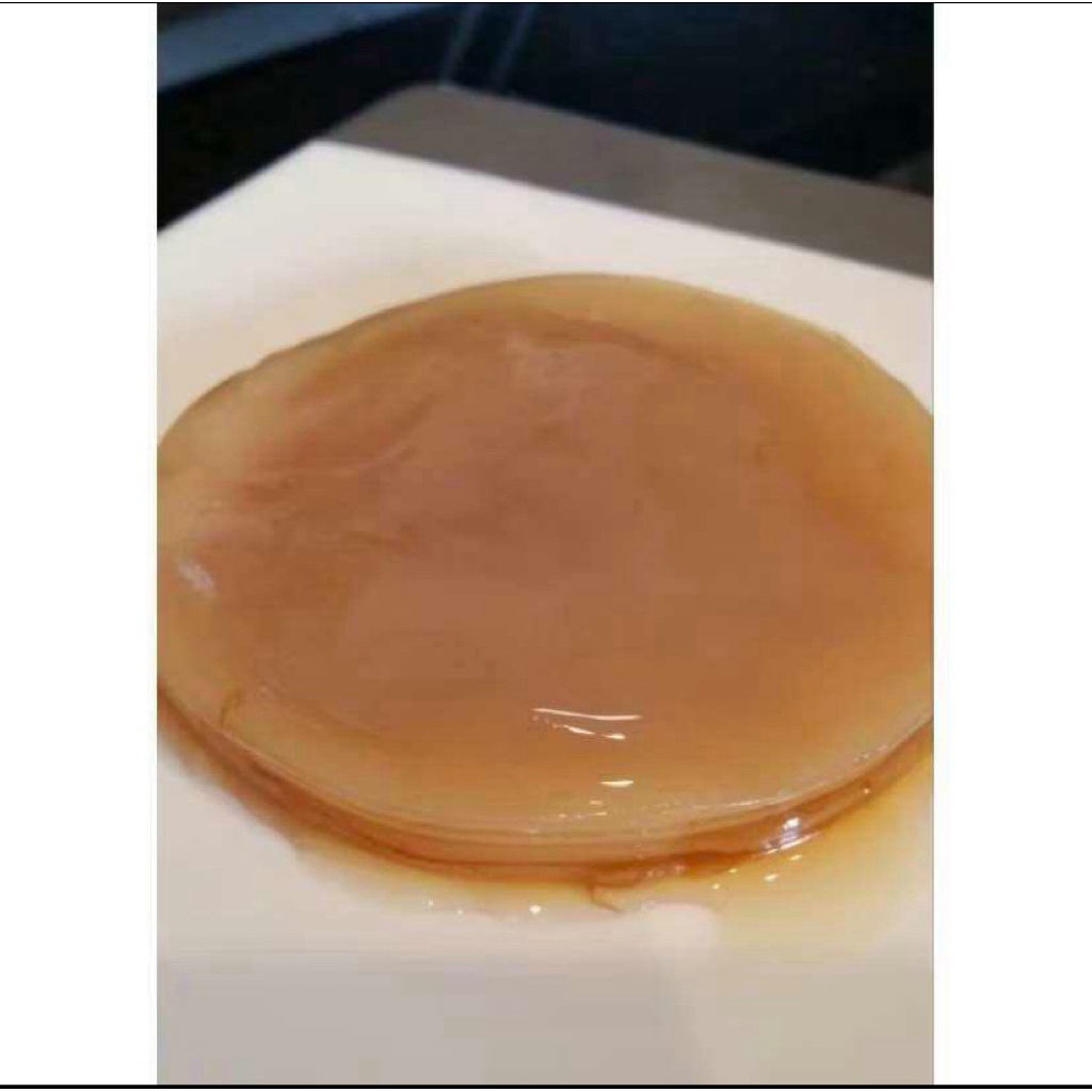 

SCOBY Kombucha