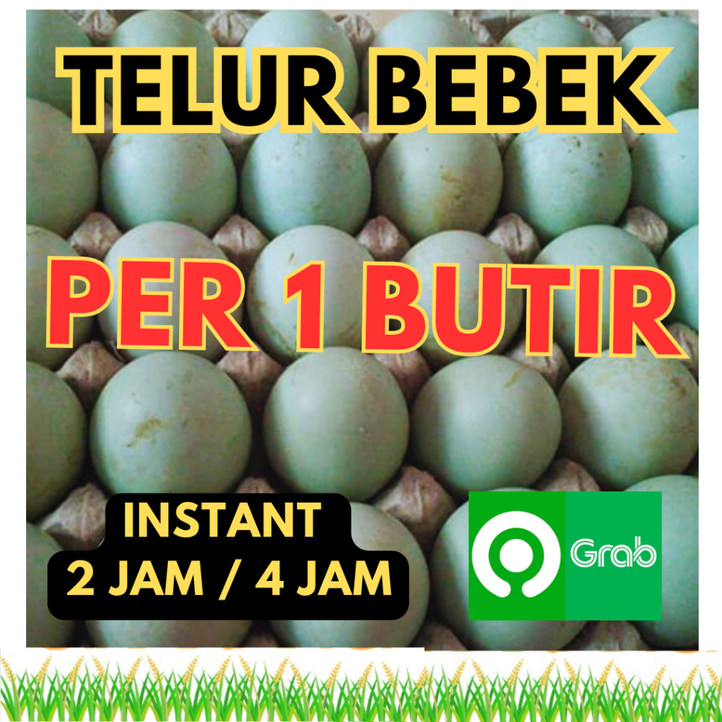 

(INSTANT / SAMEDAY ONLY) PROMOO GROSIR TELUR BEBEK PER 1 PCS BERAS JAYA CIKARANG
