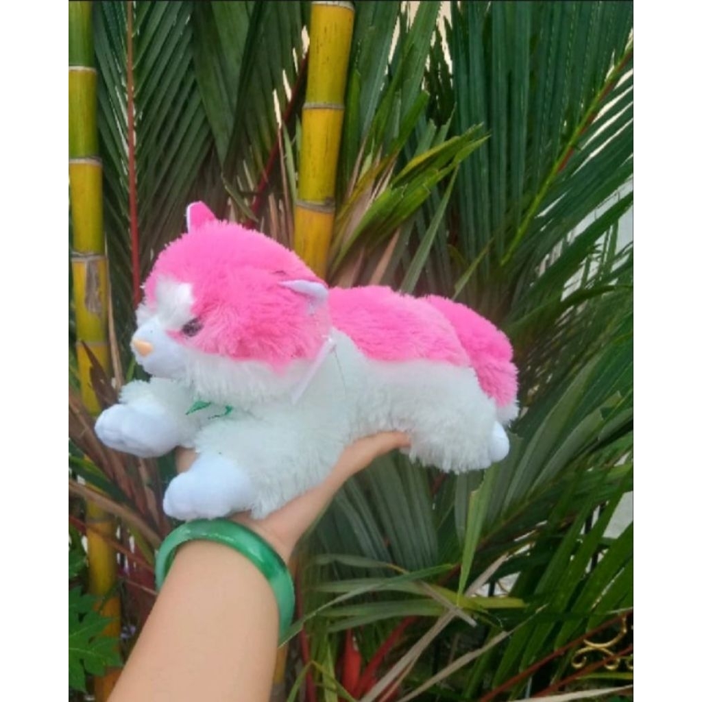 boneka lying cat S murah( random)