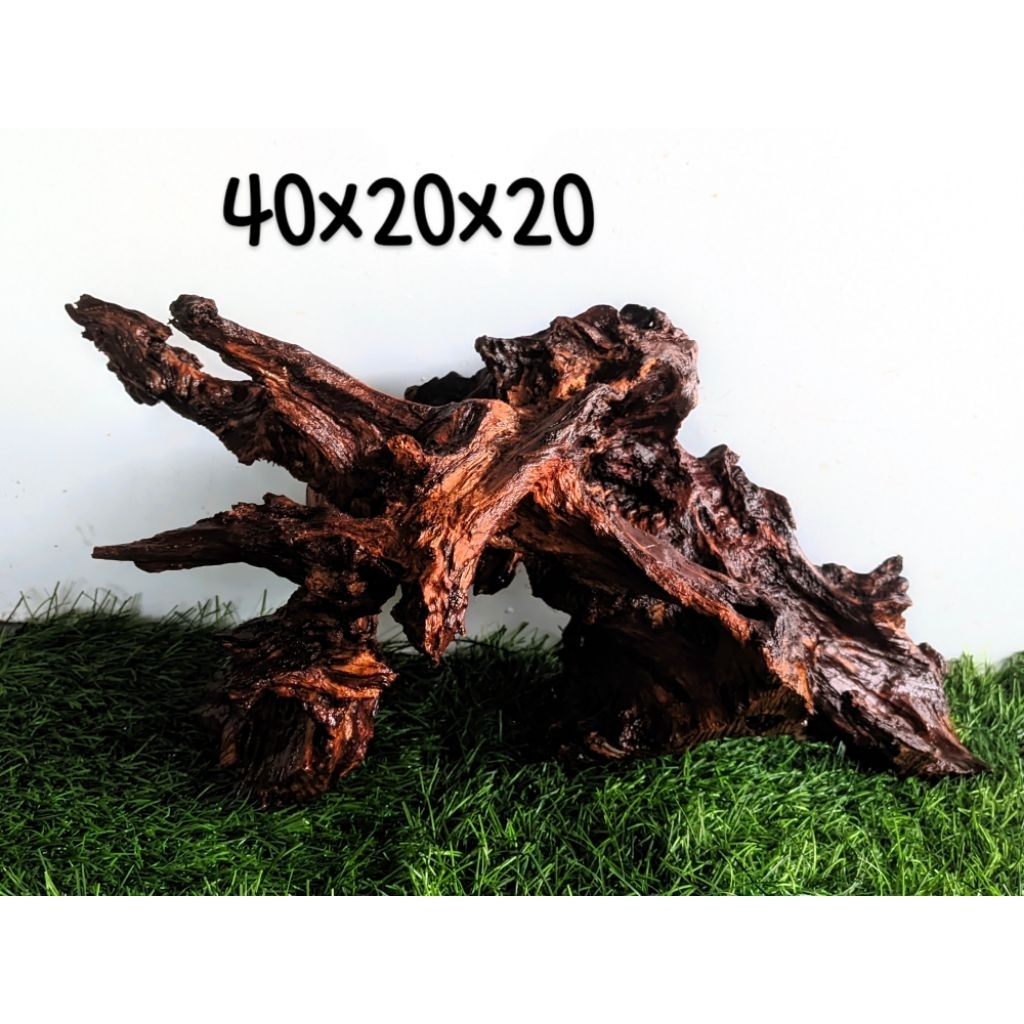 KAYU RENTEK TENGGELAM UKURAN XL