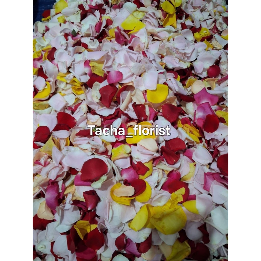 bunga mawar tabur full mawar