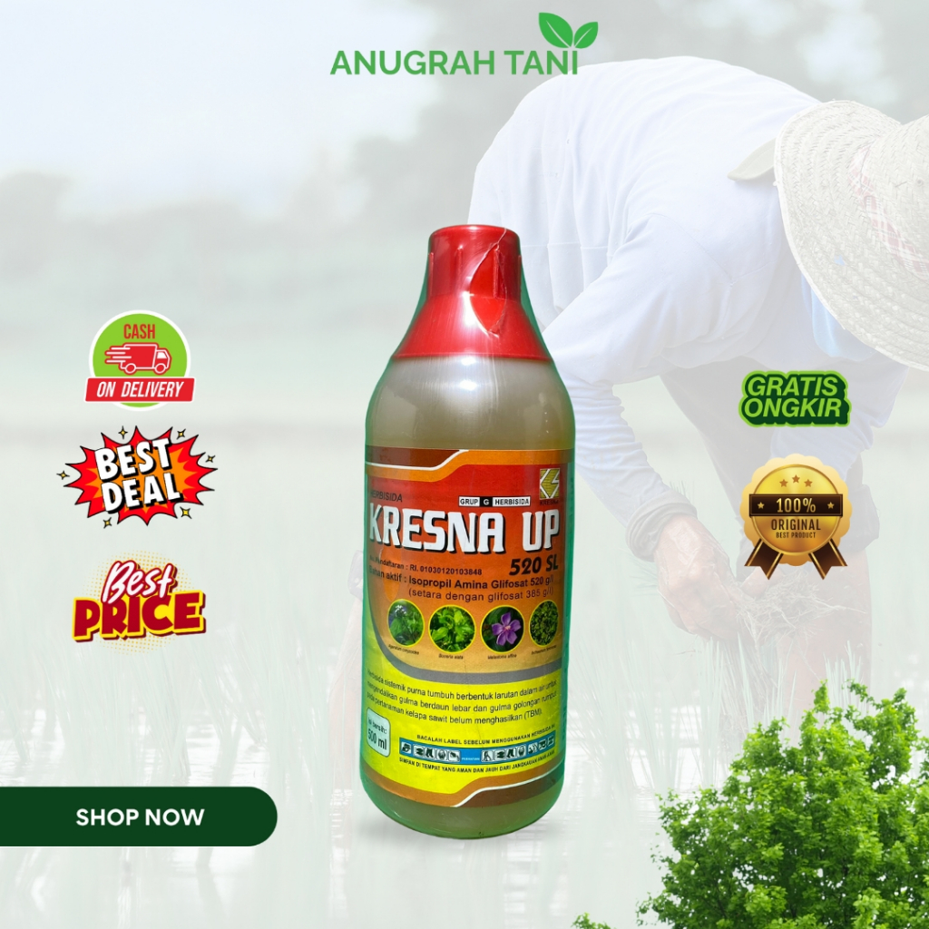 Kresna Up 520sl 500 ML Herbisida Sistemik Mengendalikan Gulma Sampai Ke Akar
