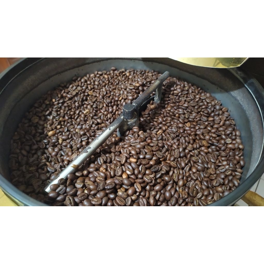 

Robusta Dampit