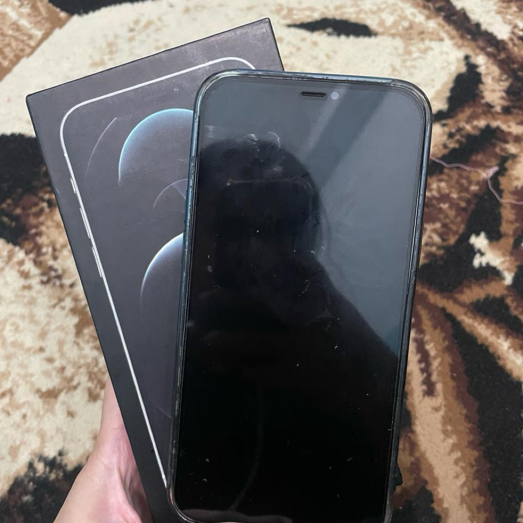 IPhone 12 promax 256gb