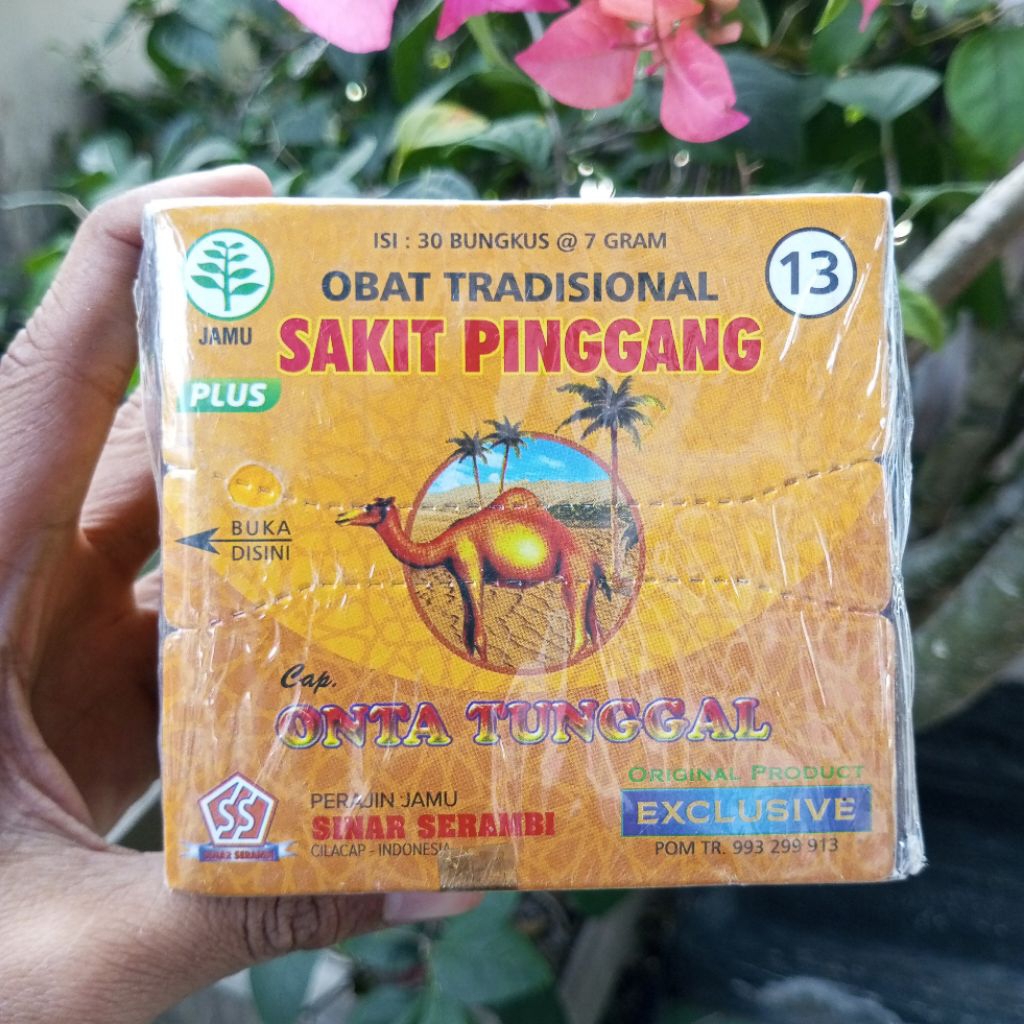 

ONTA TUNGGAL SS SAKIT PINGGANG HERBAL TRADISIONAL SERBUK