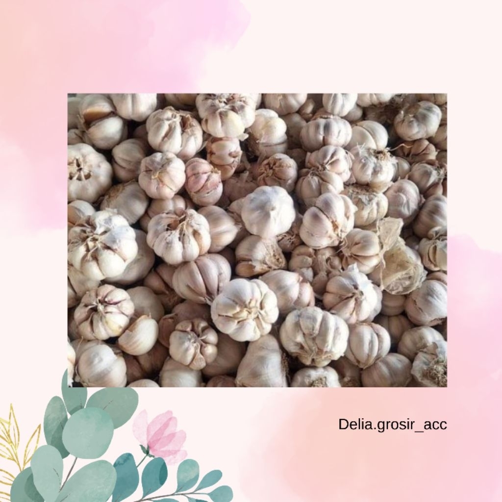 

Bawang Putih Premium 1 kg ½ kg